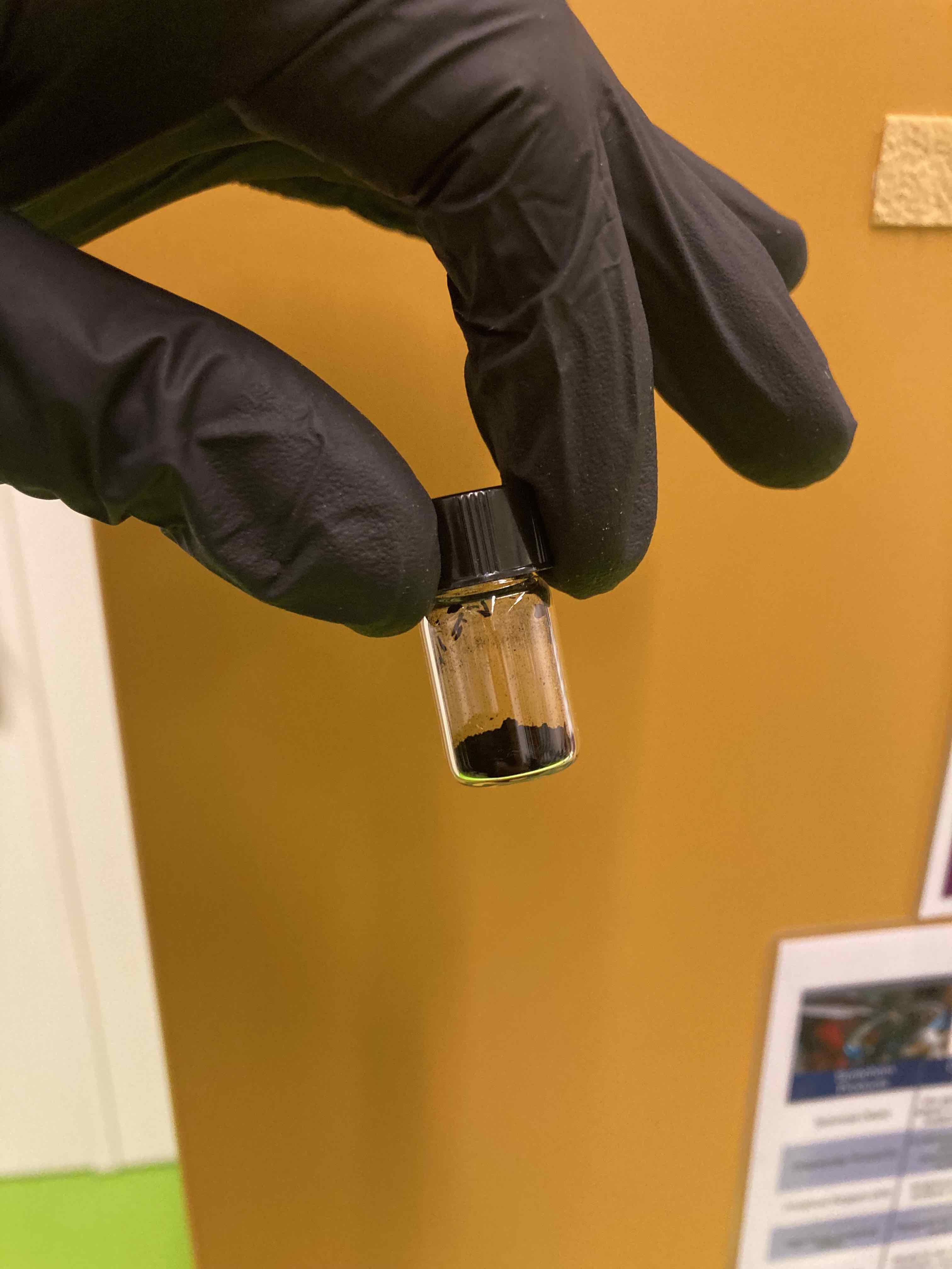 A gloved hand is holding a small glass bottle with dark substance inside
