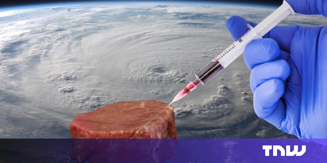 Cultivated meat is a 'promising' space food for astronauts, ESA says